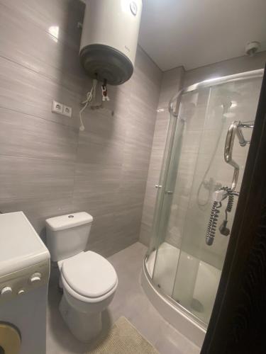 a bathroom with a toilet and a shower at Apartamentai in Raseiniai