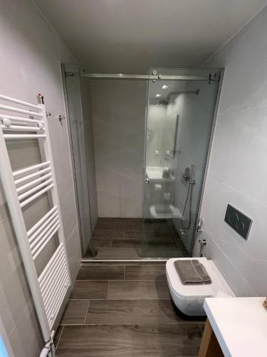 a bathroom with a shower and a toilet at Majestic Penthouse Acropolis in Athens