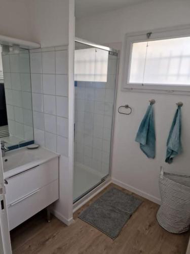 ein Bad mit einer Dusche und einem Waschbecken in der Unterkunft appartement t3 in Argelès-sur-Mer