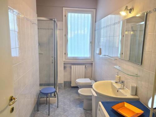 een badkamer met een wastafel, een toilet en een douche bij Sandra Apartment in Lonato