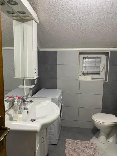 La salle de bains est pourvue d'un lavabo et de toilettes. dans l'établissement Apartman Jaca, à Mrčevac