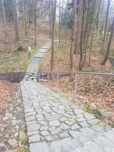 a stone path in a forest with a fence at Apartament Mar&Mel in Głuchołazy