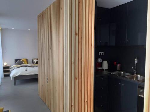 雅典的住宿－Designer loft in heart of Athens nightlife，客房设有带一张床的卧室和木制衣柜。