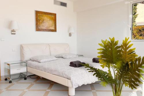 a white bedroom with a bed and a plant at La Villa Gairaut in Nice