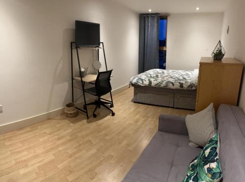 ein Wohnzimmer mit einem Sofa, einem Bett und einem TV in der Unterkunft Large Room and Private Bathroom in London