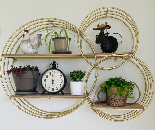 a circular shelf with plants and a clock on it at Leptitchezsoi, calme et cosy à 5 mn du centre de Bayeux in Vaucelles