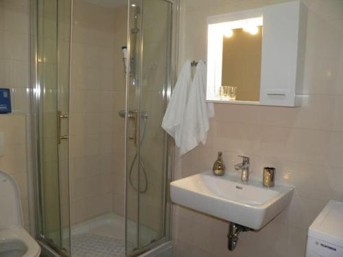 a bathroom with a shower and a sink at Apartman Modric Draga in Mošćenička Draga