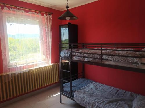 two bunk beds in a red room with a window at Holiday Apartment in Badacsonytördemic