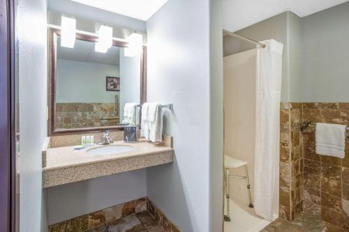 een badkamer met een wastafel en een douche bij AmericInn by Wyndham Madison South in Madison
