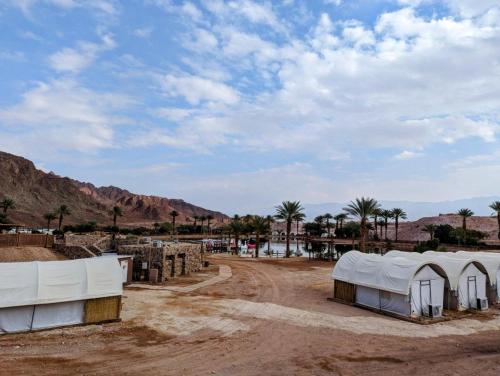 Gallery image of Park Timna in Eilat