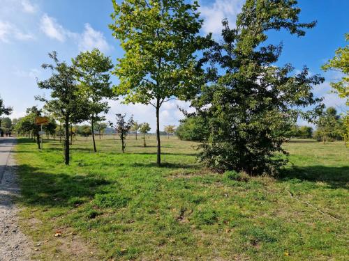 Heringsdorf - Möwe – Photos 3