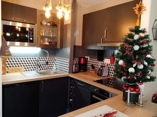 Kuchyňa alebo kuchynka v ubytovaní Appartement 4 personnes vue sur la montagne