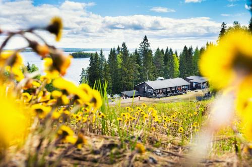 a view of a barn and a field of yellow flowers at Break Sokos Hotel Koli in Kolinkylä