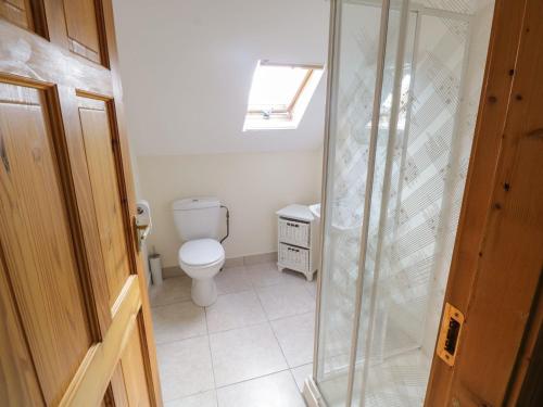a bathroom with a toilet and a shower at Ring Fort Cottage in Longford