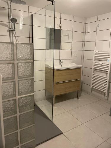 La salle de bains est pourvue d'un lavabo et d'une douche en verre. dans l'établissement Chez Julie petit appartement une chambre rez jardin maison, à Tulle