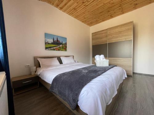 a bedroom with a large bed in a room at Merida Residence in Bran
