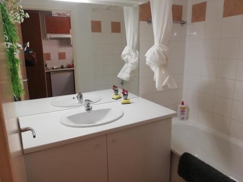 une salle de bain avec un lavabo et une baignoire dans l'établissement Appartement les chalets d estives, à Cauterets