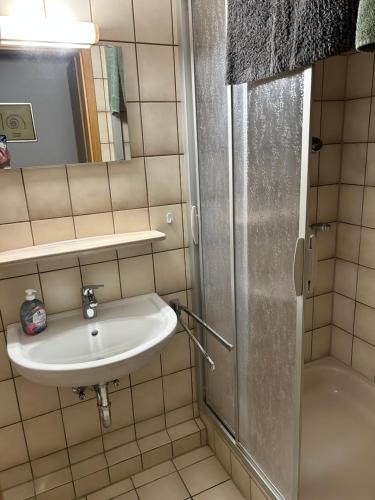 een badkamer met een wastafel en een douche bij Apartment am Kurpark in Bad Oeynhausen