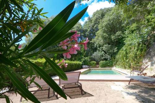 拉科斯特的住宿－Maison avec piscine à Lacoste，花园设有游泳池、椅子和树木