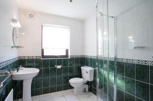 a green tiled bathroom with a toilet and a sink at Keef Halla Country House in Crumlin