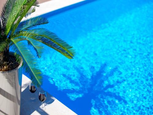 a palm tree sitting next to a blue swimming pool at Villa Lemily in Matulji