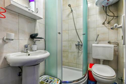 een badkamer met een wastafel, een toilet en een douche bij Rajski Bor Tara 3 galerija in Kaludjerske Bare