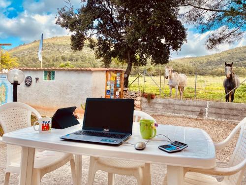 a laptop computer sitting on a white table with a horse in the background at Casa Provence Family & Friends Mare & Natura in Alghero