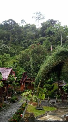 a garden with a house and trees in the background at Lucky Bamboo'Bungalows-Resto and Orangutan Jungle Trekking Tours in Bukit Lawang