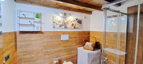 卡里尼的住宿－Villa MiraMar Luxury Suite Palermo Airport，一间带玻璃淋浴和木墙的浴室