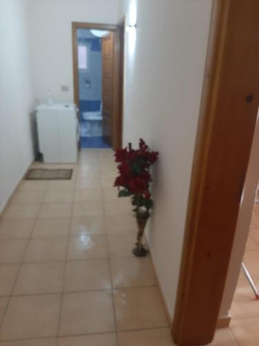 Iviol apartament - Image 4