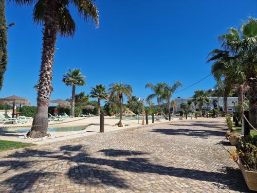 a street with palm trees and a swimming pool at Quinta do Baía in Lagos