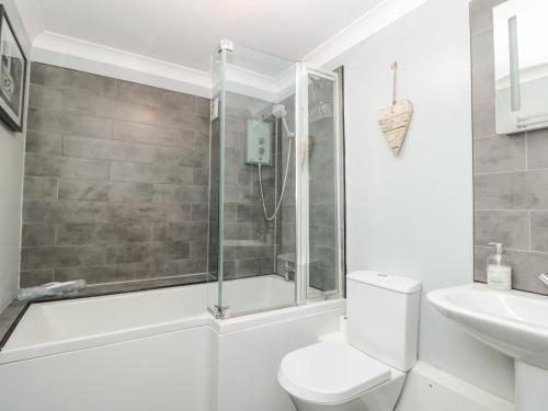 a bathroom with a shower and a toilet and a sink at 3 West Park Mews in Kingsbridge