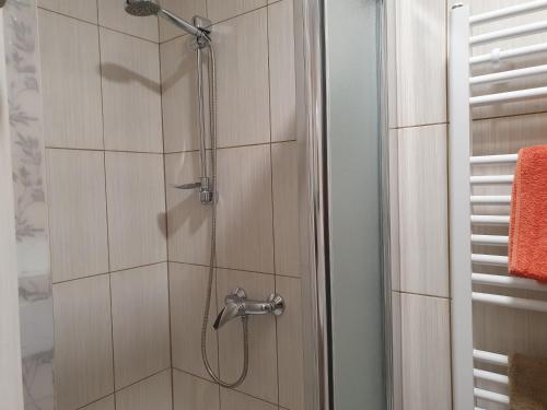 e bagno con doccia e soffione. di Pension Zelený strom a Mikulov