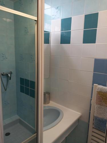 une salle de bain avec un lavabo et une douche dans l'établissement Chez Gibus, à Grandcamp-Maisy