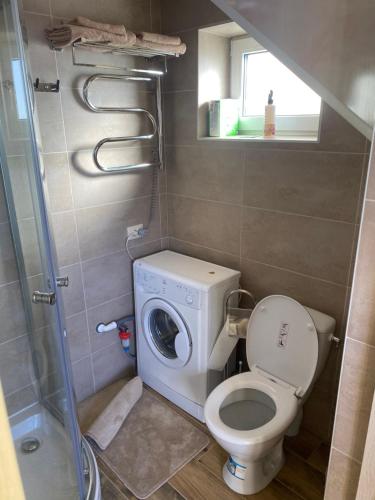ein Badezimmer mit einem WC und einer Waschmaschine in der Unterkunft Коттедж У Анютки in Truskawez