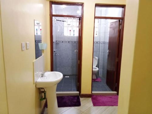 a bathroom with a sink and a shower and a toilet at Greenvale's 2 Bedroom in Eldoret