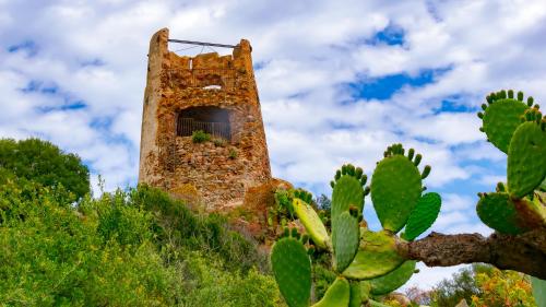 an old building on top of a hill with a cactus at Le Corti Sarde Apartments in Bari Sardo