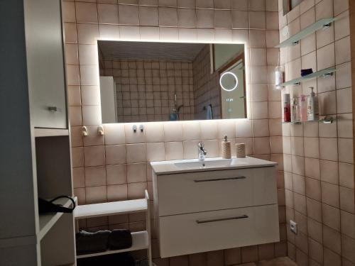 La salle de bains est pourvue d'un lavabo et d'un miroir. dans l'établissement V Zahradě - Stylový apartmán s velkou terasou, à Zlín