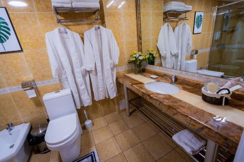 a bathroom with a toilet and a sink and a mirror at Metelitsa Hotel in Karagandy