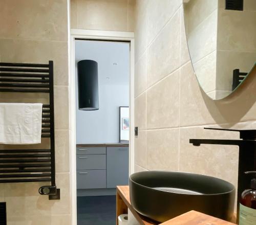 Billede fra billedgalleriet på Albatros i Annecy