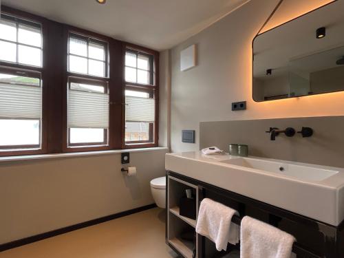 a bathroom with a sink and a toilet and windows at Boutiquehotel Burg Adenbach & Alter Weinbau in Bad Neuenahr-Ahrweiler