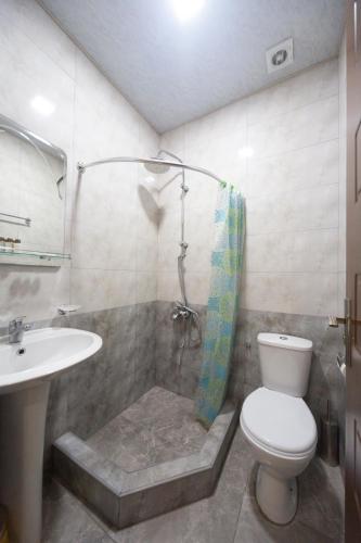 a bathroom with a shower and a toilet and a sink at Tskaltubo Hotel Terrace in Tskaltubo