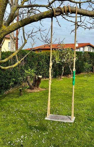 a tree swing in a field of green grass at Alojamientos Robustiana in Santander
