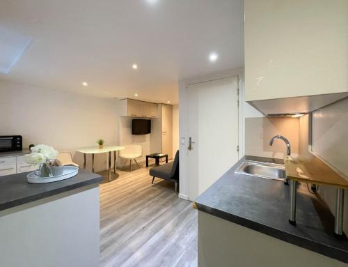 une cuisine et un salon avec un évier et une table dans l'établissement Belvedere vieille ville, à Annecy