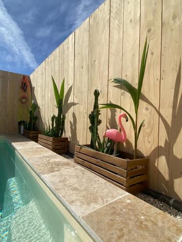 Mas des Oliviers, maison avec piscine privative et chauffée LOCAMARGUE