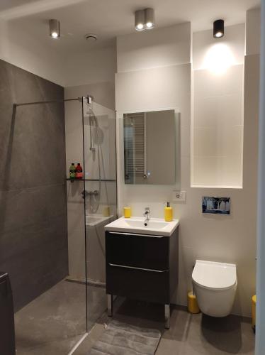 a bathroom with a sink and a shower and a toilet at Sky Loft in Iaşi