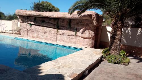 a palm tree sitting next to a swimming pool at Apartamentos Montgò in Denia