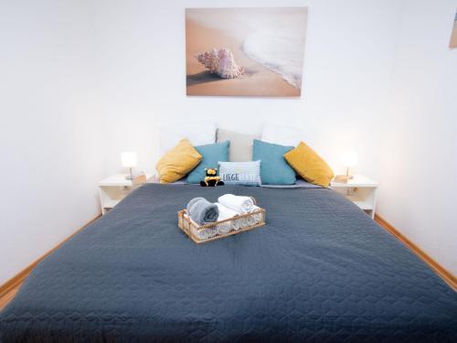 諾德代希的住宿－Apartment Düne by Interhome，一间卧室配有一张带蓝色毯子的大床