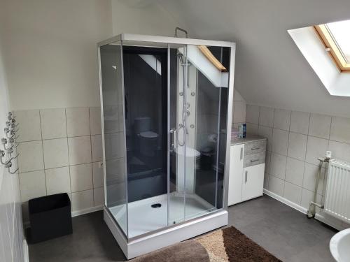 a glass shower in a bathroom with a sink at 3 Zimmer Wohnung für 6 Personen in Gößnitz