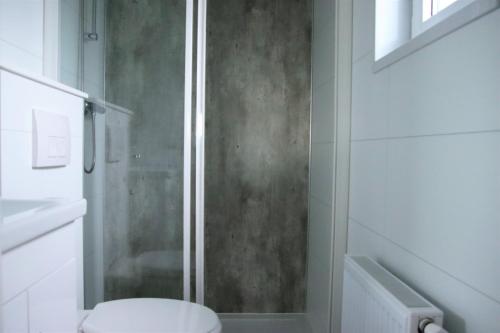 La salle de bains est pourvue de toilettes et d'une douche en verre. dans l'établissement Chalet Merel, à Drijber